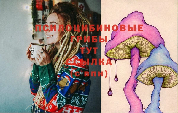марки lsd Новозыбков