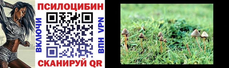 Псилоцибиновые грибы ЛСД купить сайты Невельск